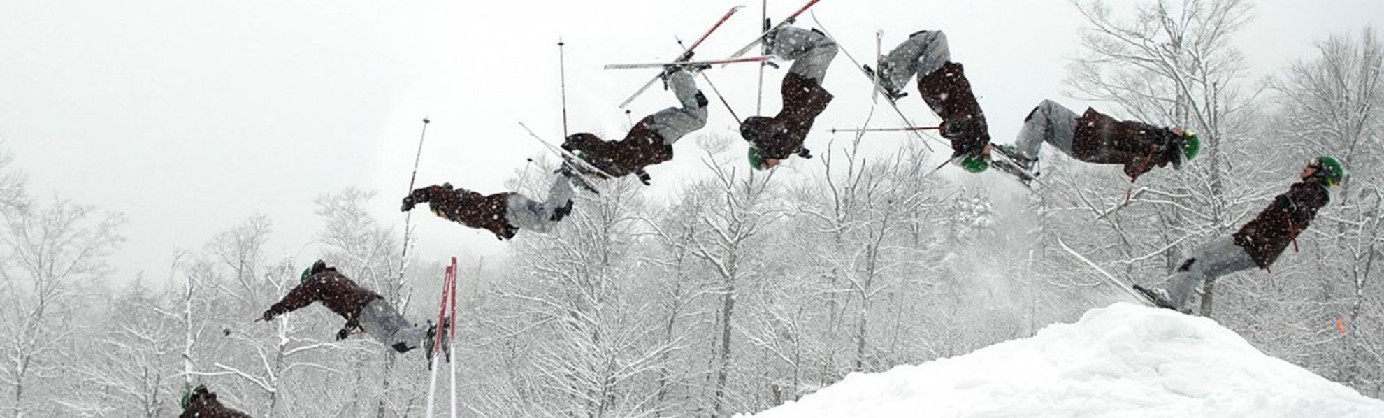 Freestyle Skier